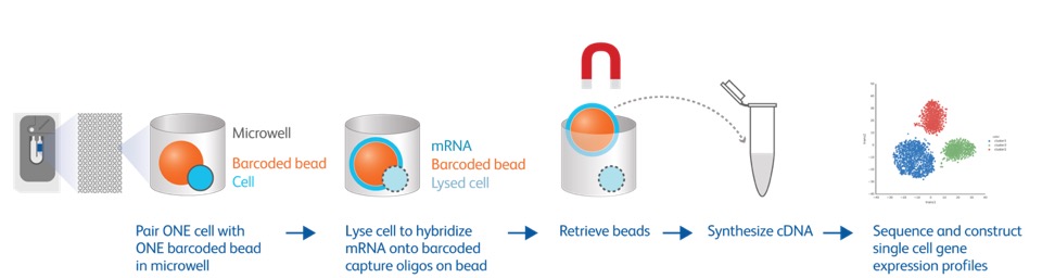 bd-genomics-rhapsody-system-ostr